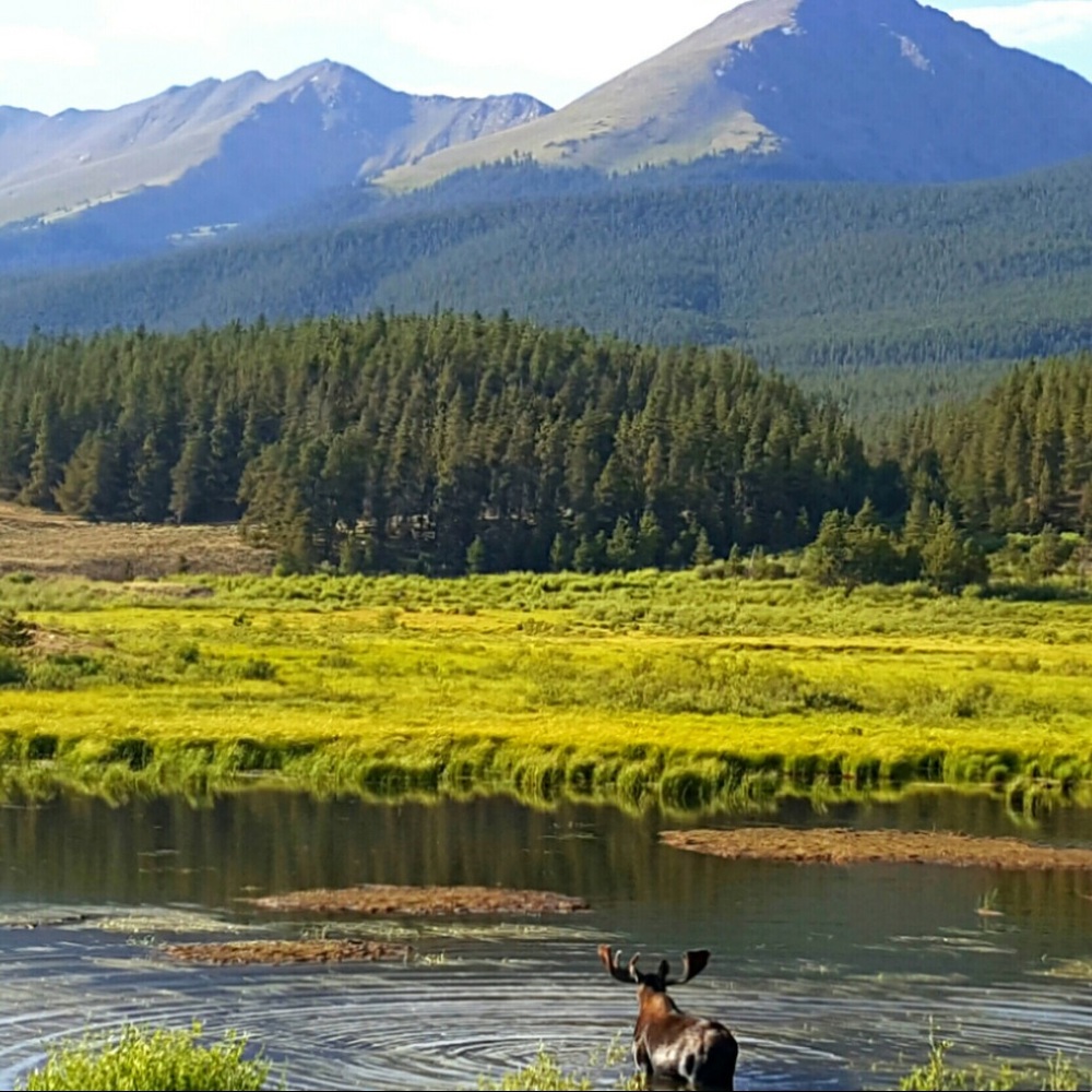 Meet your Posher, Jenny